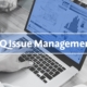 DQ Issue Management