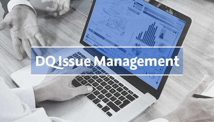 DQ Issue Management