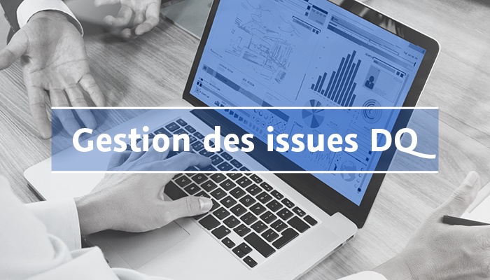Gestion des issues DQ