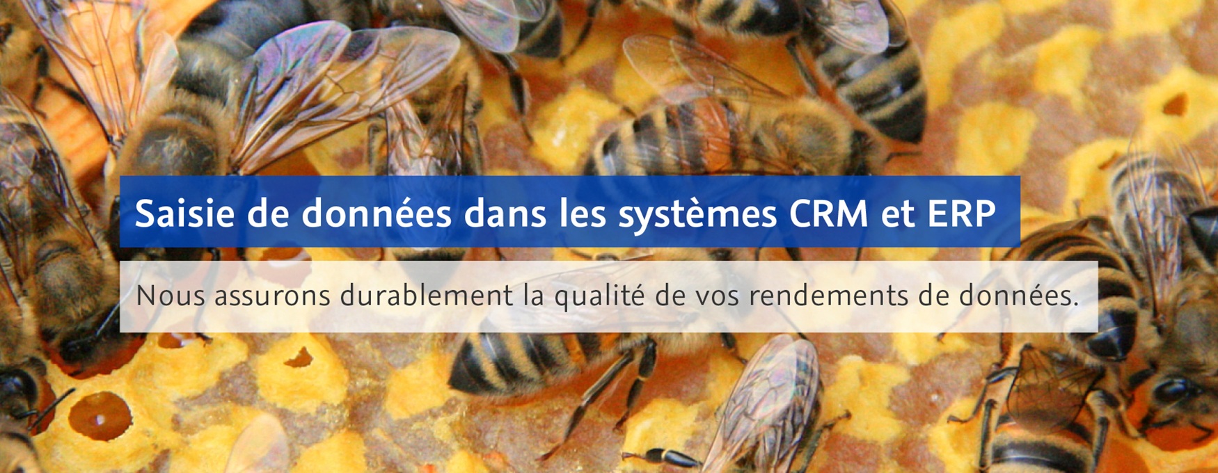 Saisie de données dans les systèmes CRM et ERP