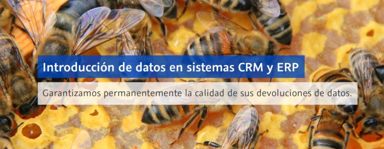 Introducción de datos en sistemas CRM y ERP: Garantizamos permanentemente la calidad de sus devoluciones de datos.