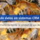 Introducción de datos en sistemas CRM y ERP: Garantizamos permanentemente la calidad de sus devoluciones de datos.