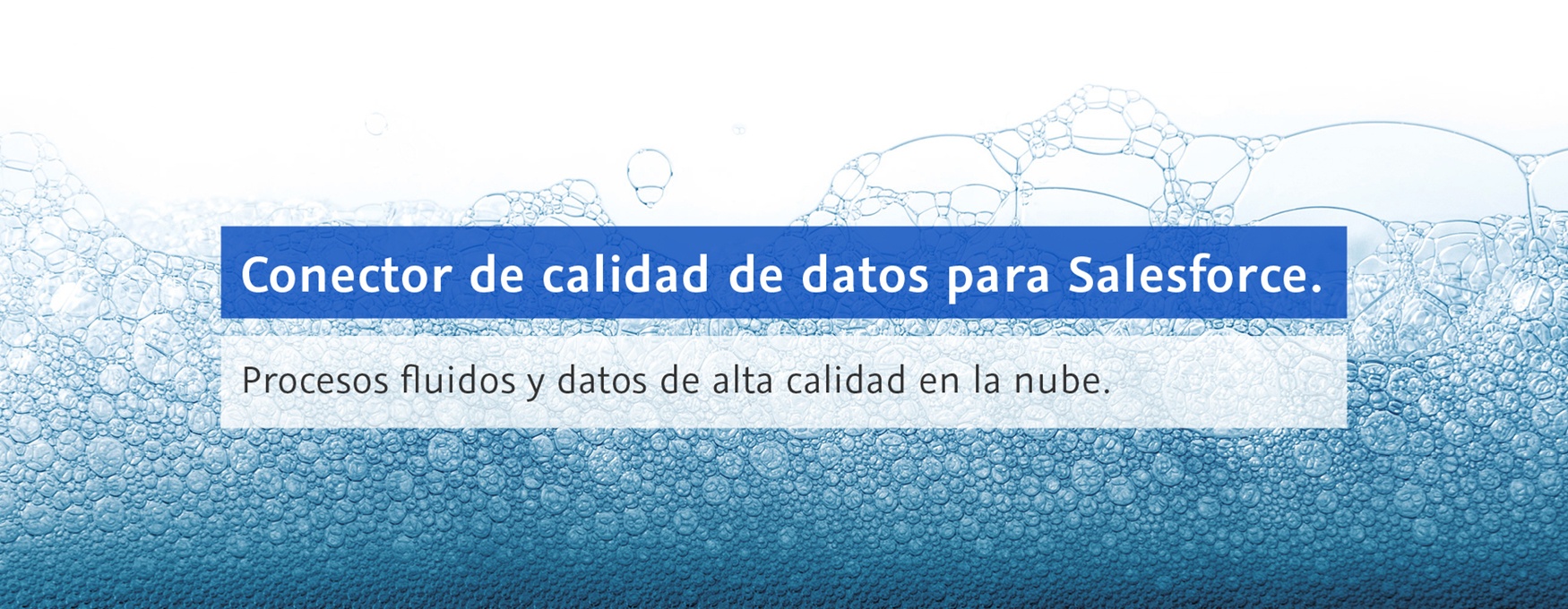 Conector de calidad de datos para Salesforce. Procesos fluidos y datos de alta calidad en la nube.